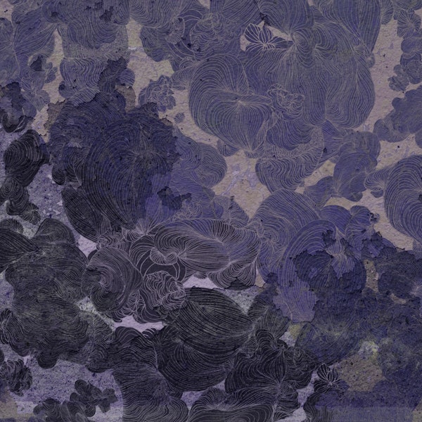 Whimsical Midnight Garden