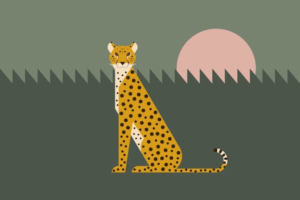 Sunrise with Cheetah