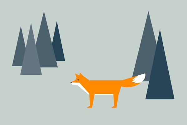 A walk with Fox in the forrest