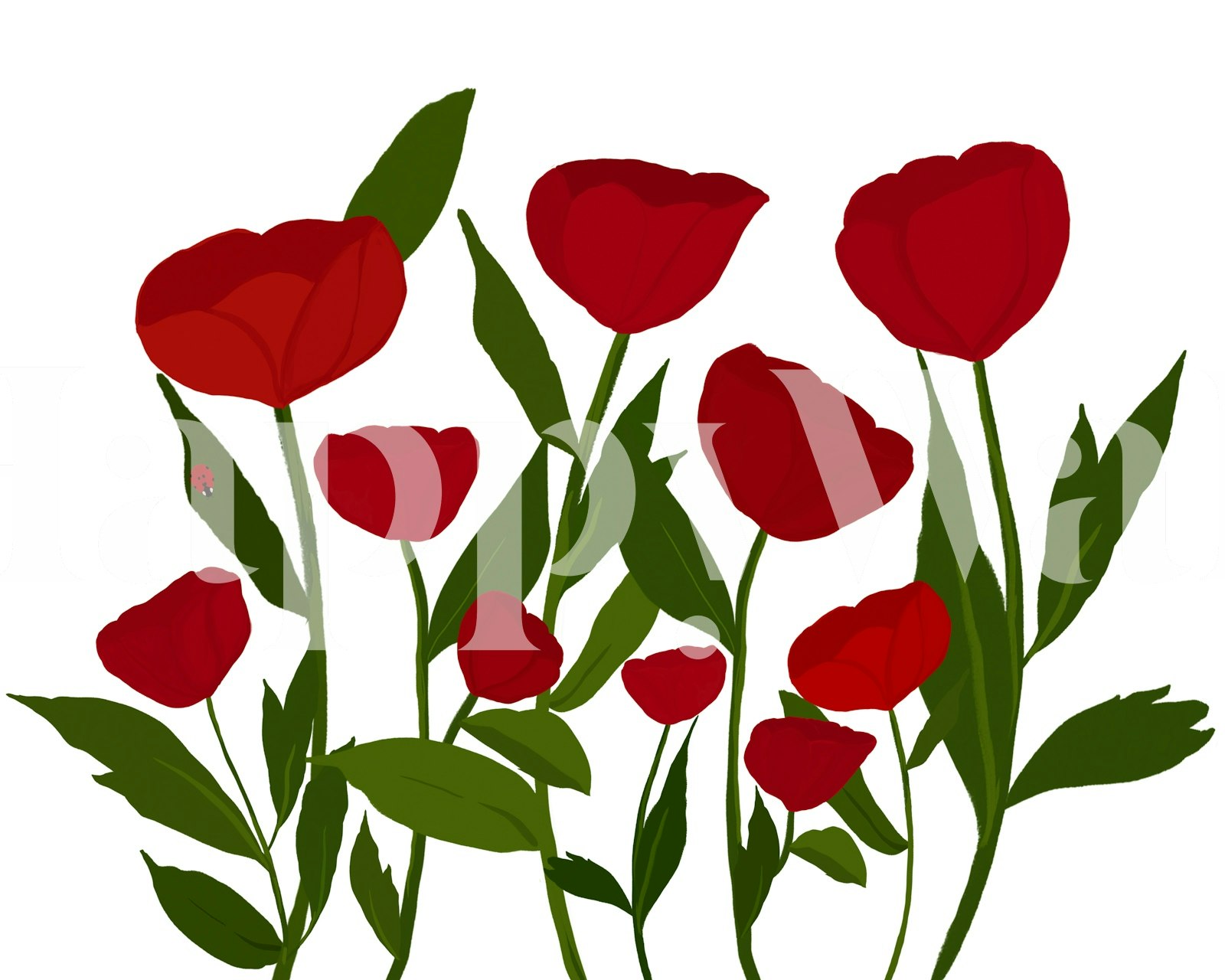 Red poppy flowers with green leaves patterned wallpaper