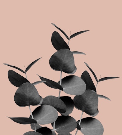 Mural