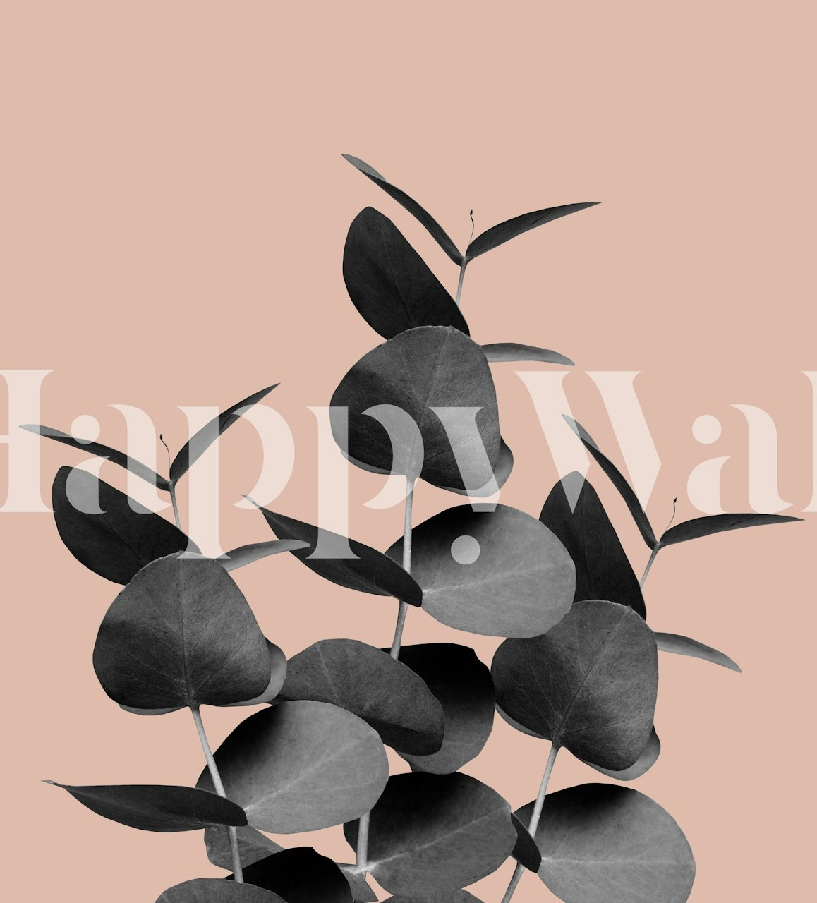 Silhouetted black eucalyptus leaves on pastel pink background wall mural