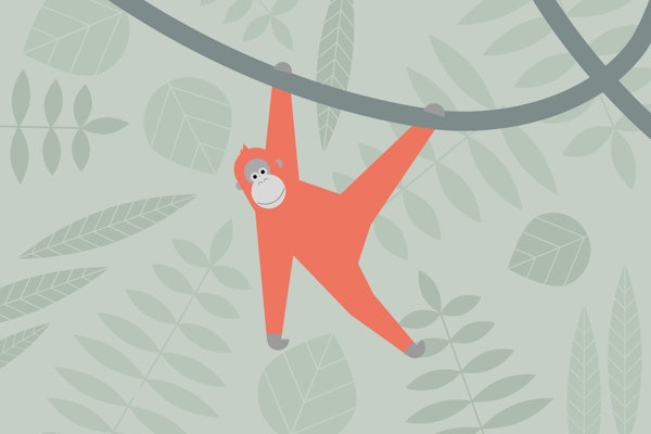 Playful Orangutan Escape