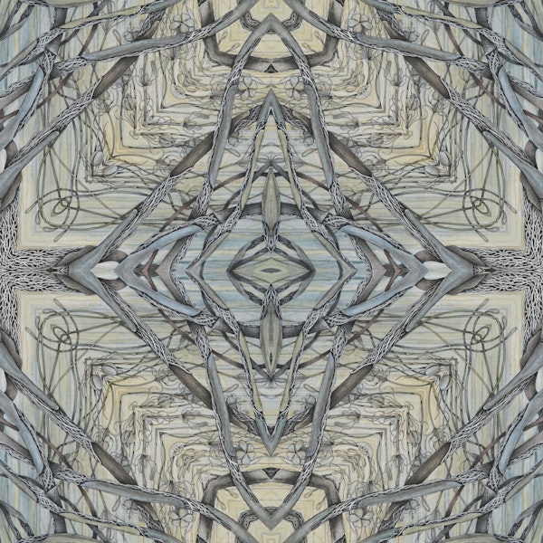 Intricate Forest Maze 2