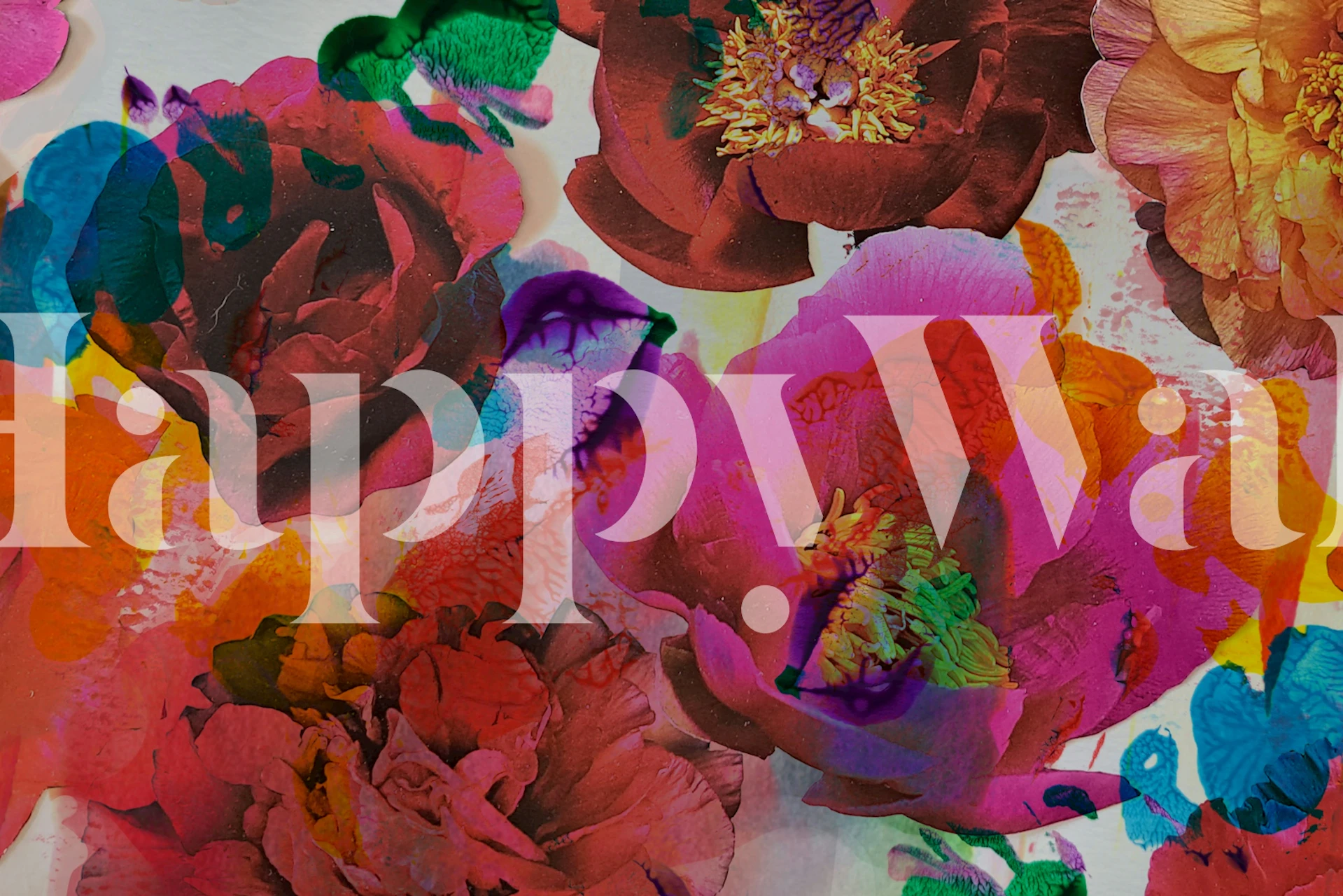 Colorful floral wallpaper with pink, red, and yellow flowers