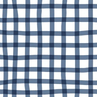 Wonky Check Blue and White behang