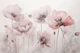 Blush Pink Poppy Flower Wildflower Meadows
