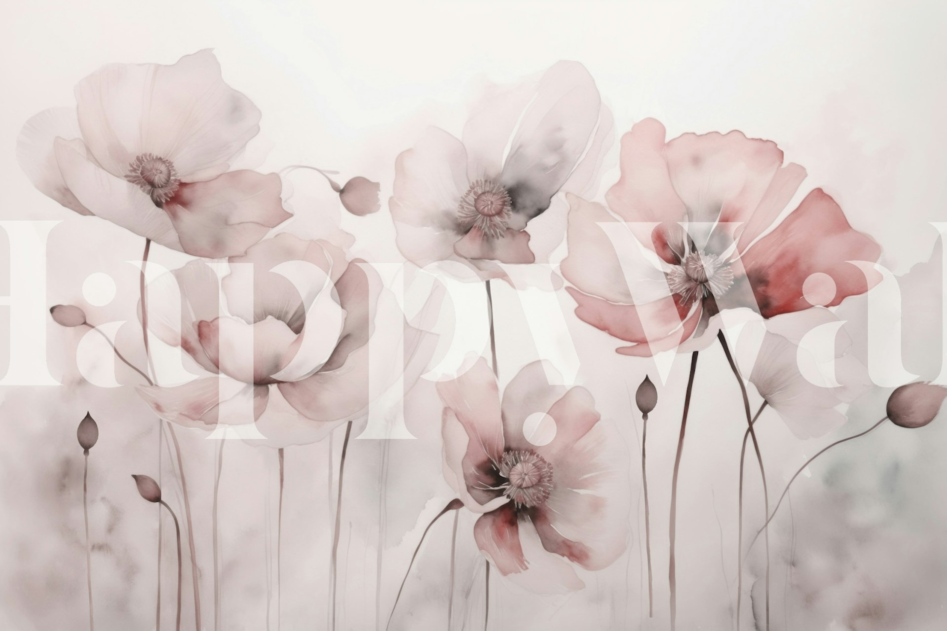 Blush pink poppy flowers with soft green stems wallpaper