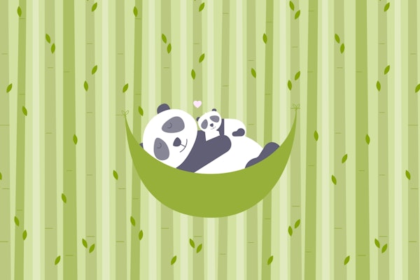 Peaceful Panda Nap