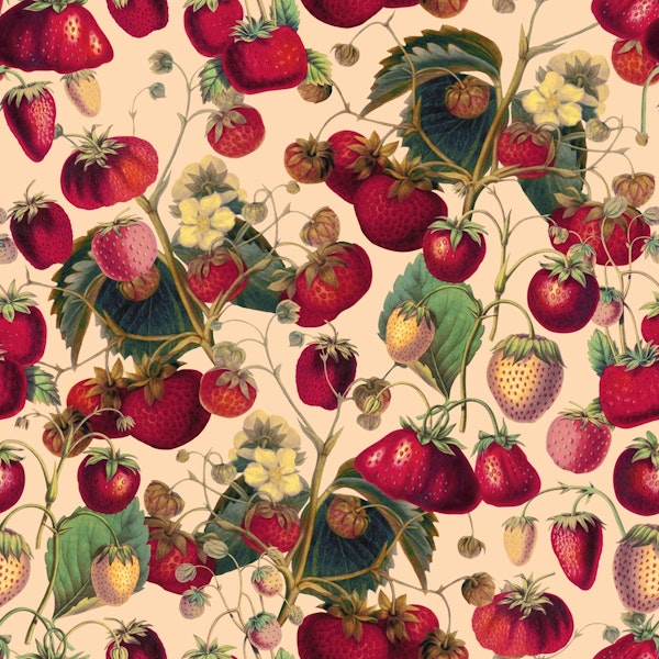 Strawberry Fields Forever VII