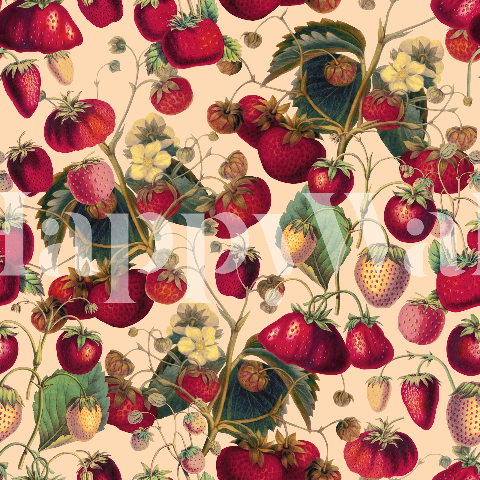 Strawberry Fields Forever VII - Happywall