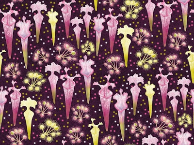 Pattern