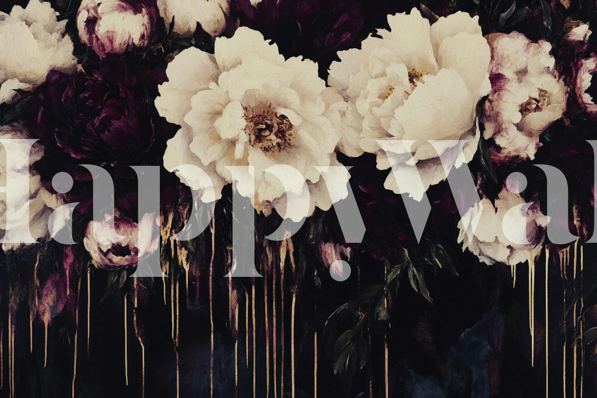 Dramatic peony blossoms in dark pink and white on black wallpaper