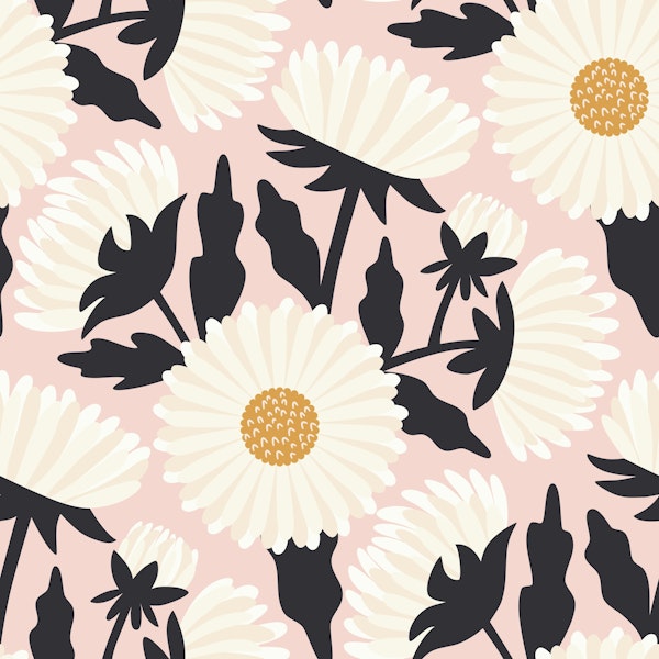 White Petals Flowers