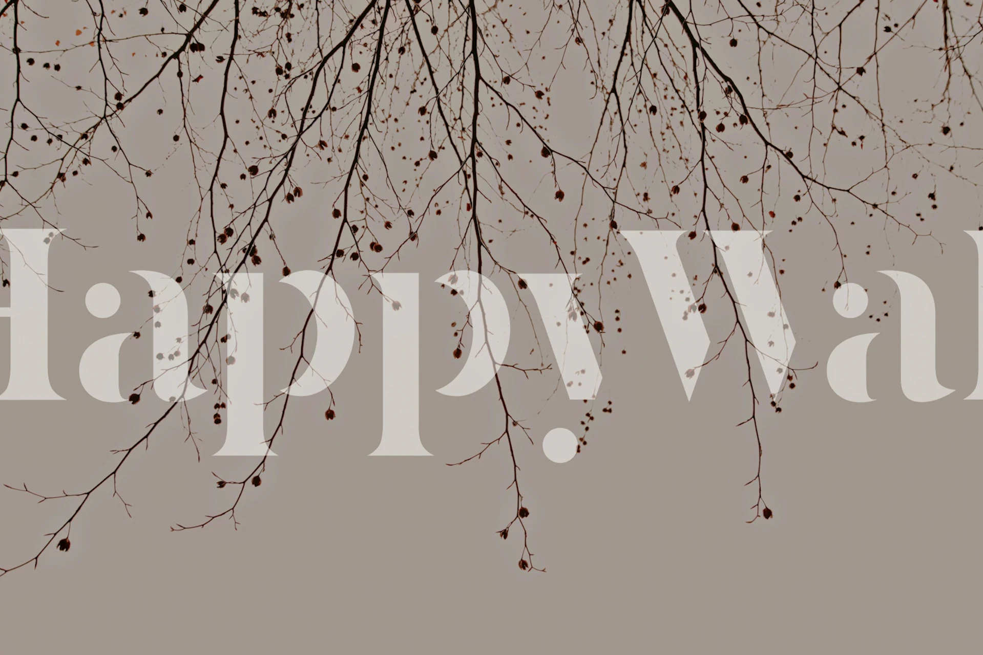 Brown branches and berries on a mocha background wallpaper