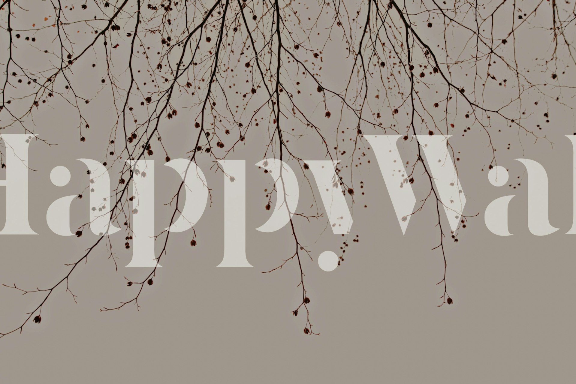 Branches d'arbre stylisées marron sur fond beige wallpaper