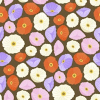Californian Poppies wallpaper