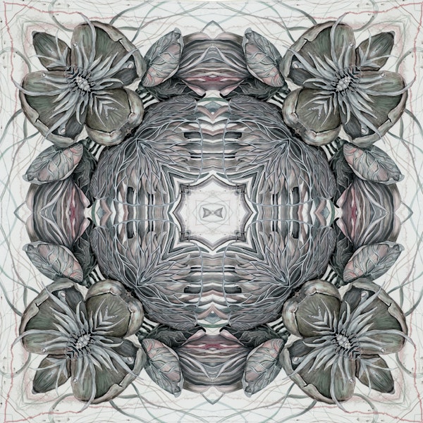 Hellebore circle