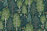 Scandinavian boreal forest flora small papiers peint