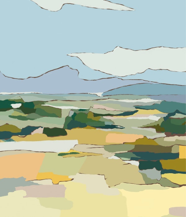 Summer Meadow Tranquility