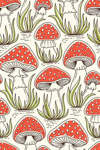 Pattern