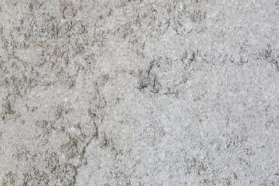 Τοιχογραφία