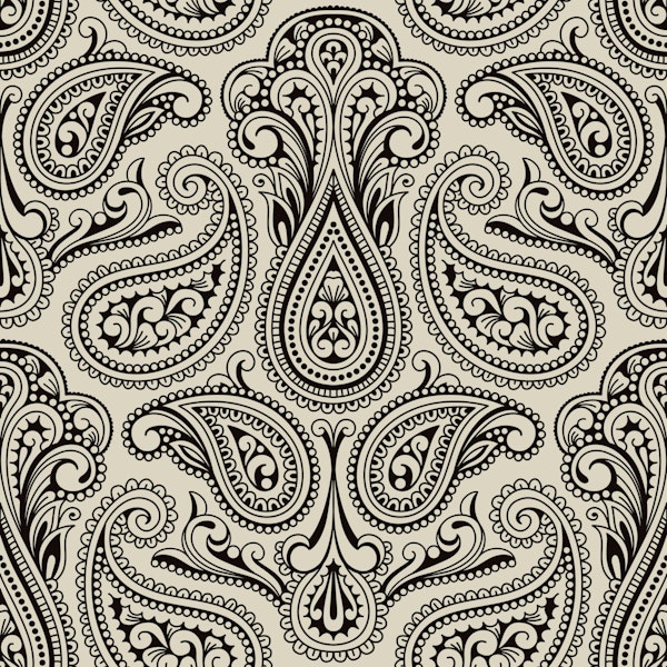 Vintage Paisley Elegance Charm
