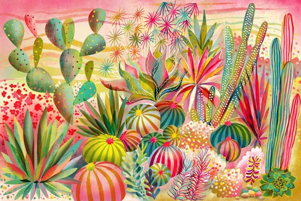 colorful succulent cacti garden