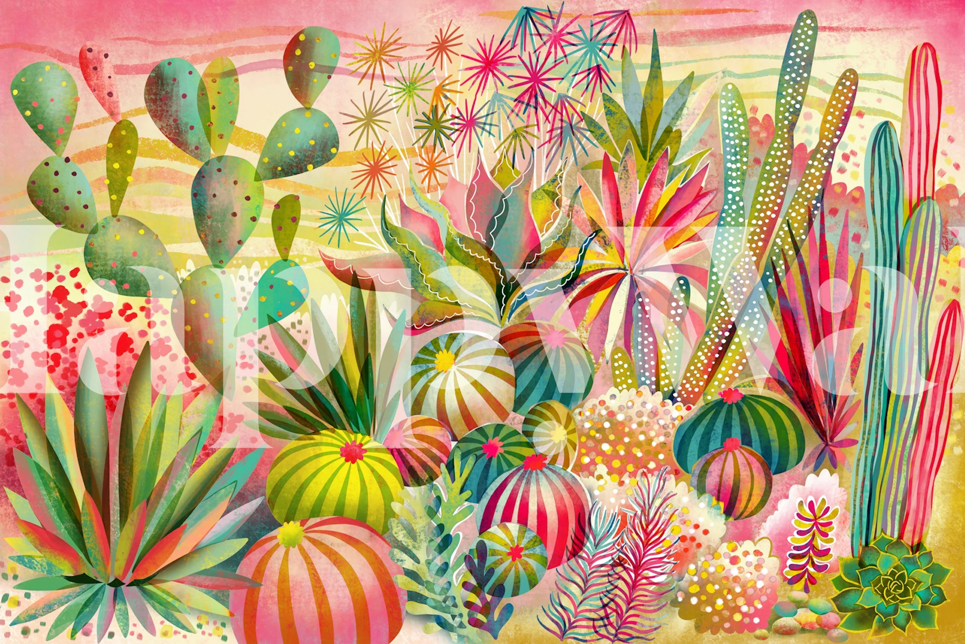 Colorful cacti and succulents in various shapes and colors wall mural