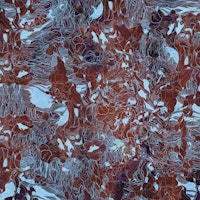 Wild Flora Symphony behang