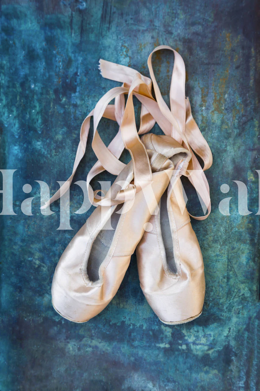 Ballet A Pair Of Pointe Shoes na teksturiranoj pozadini