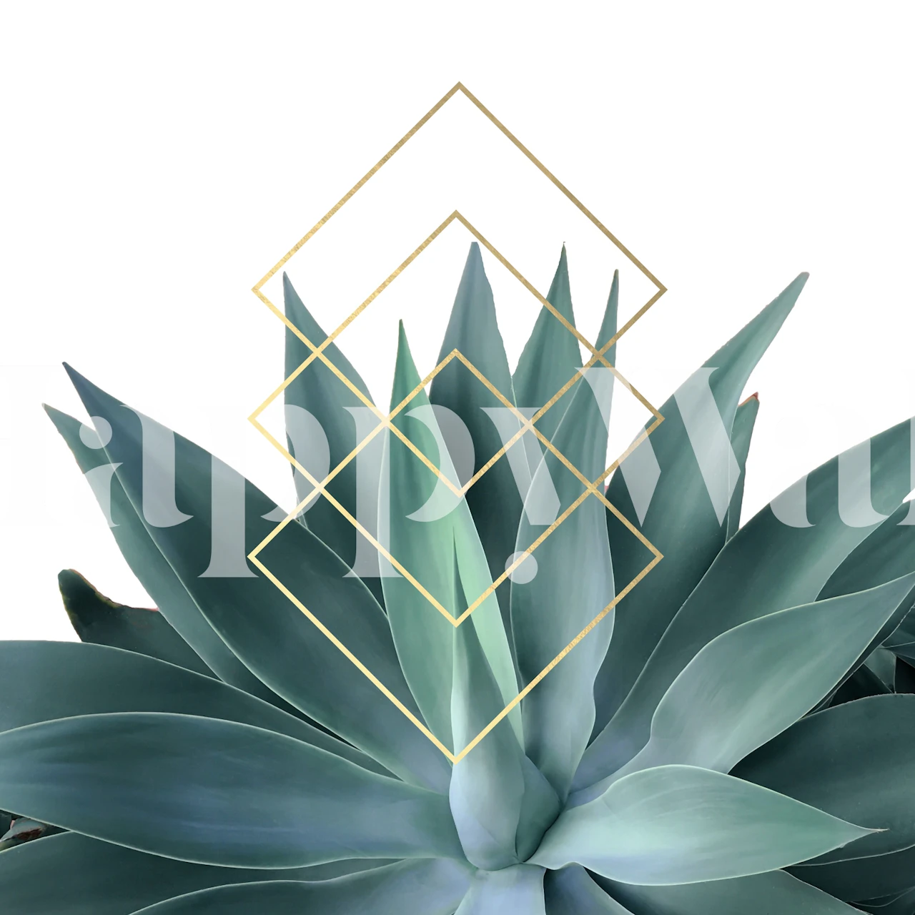 Agave Geometrics wallpaper displayed in a room