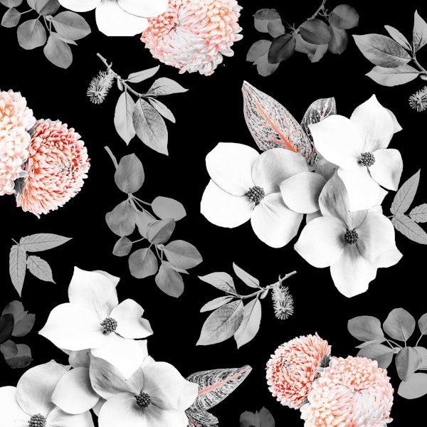 Night Bloom