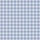 Classic gingham blue
