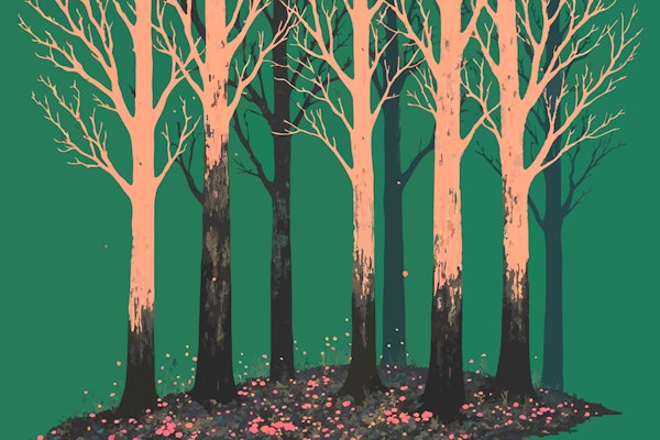 Enchanted Forest Aesthetic