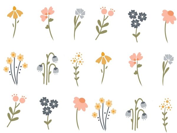 Wildflower Portraits on White