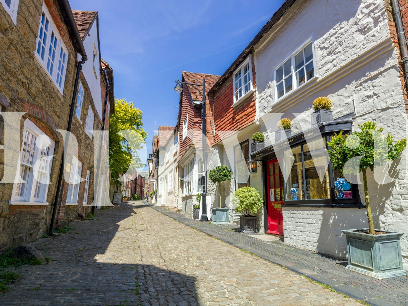 Cobblestone street with colorful buildings and greenery wallpaper