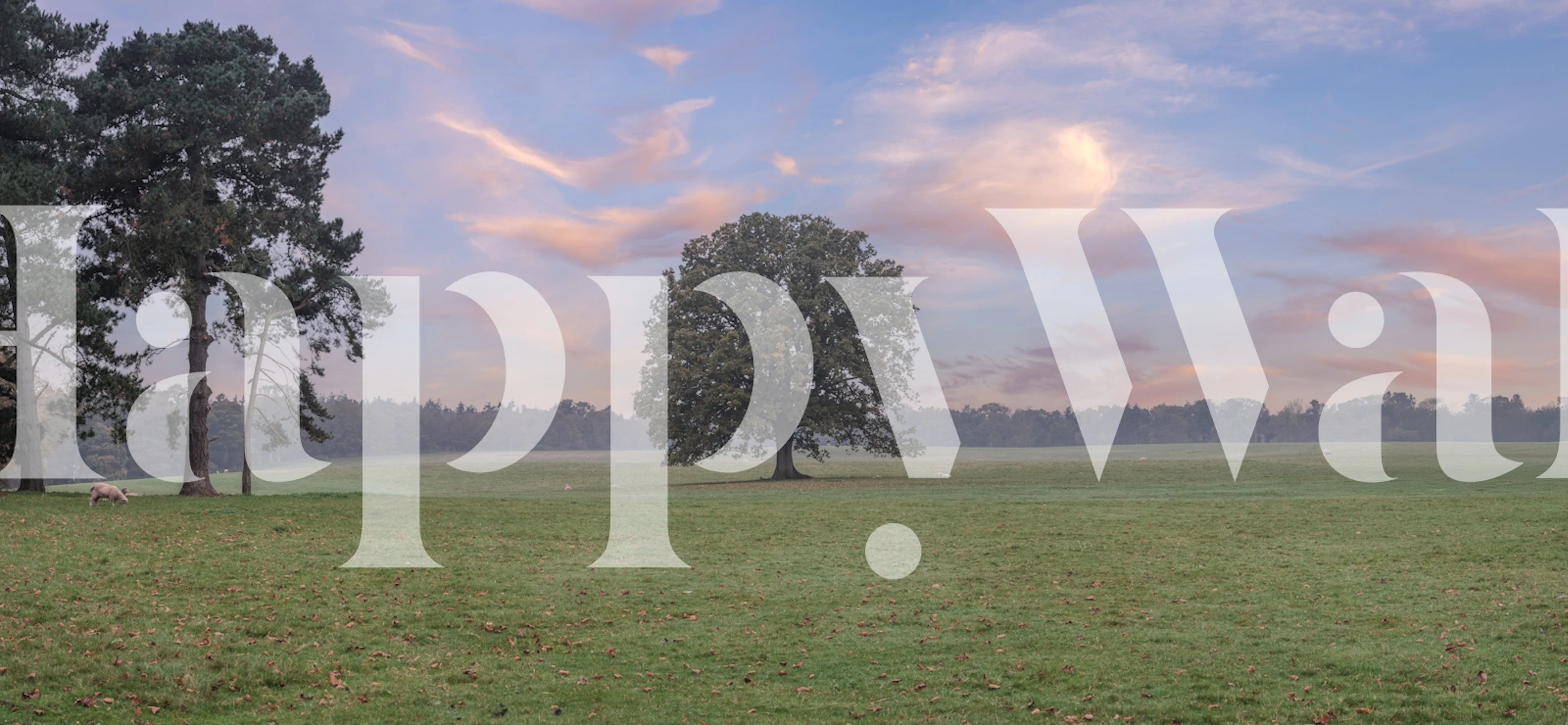 Landscape view of a serene field under a pastel sky wallpaper