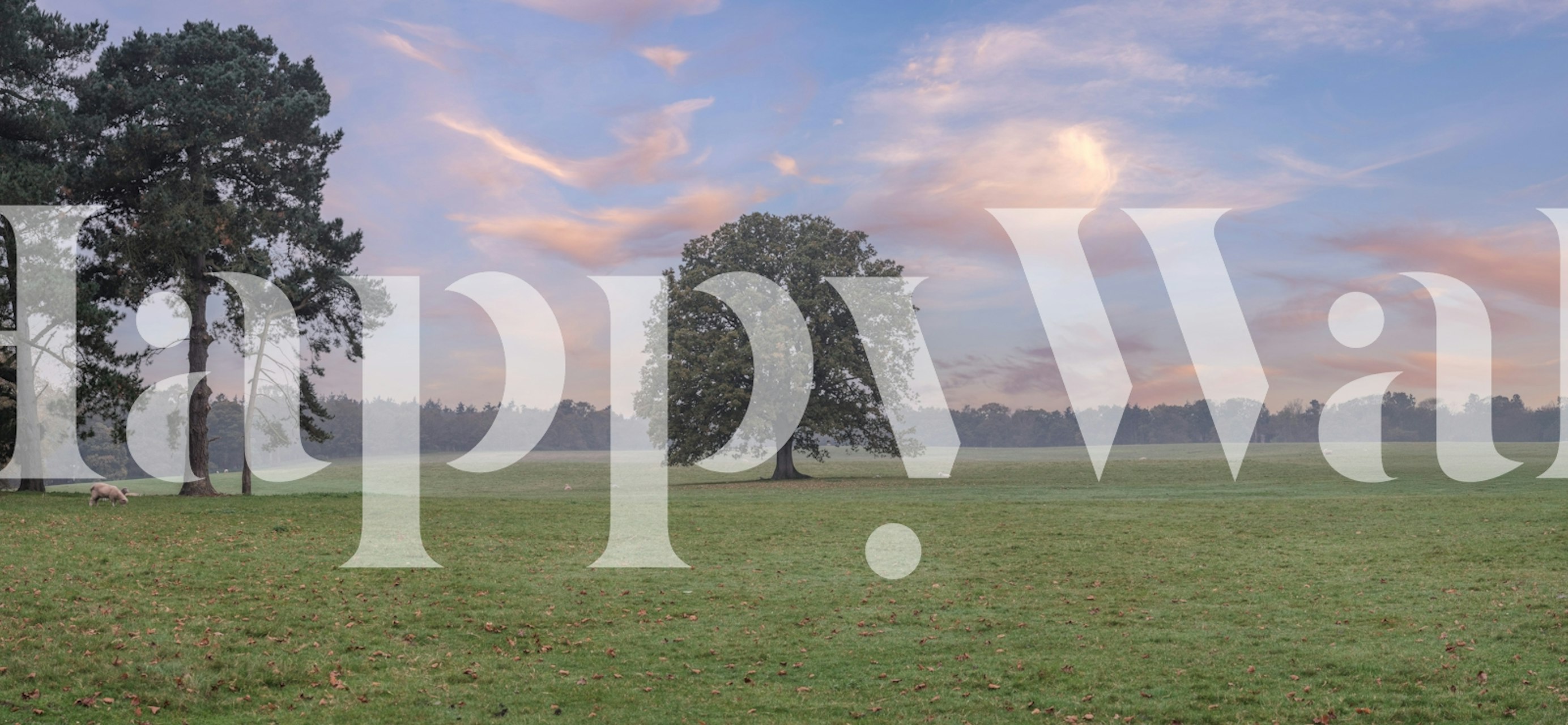 Papel tapiz Tranquil Sunrise Field en una habitación