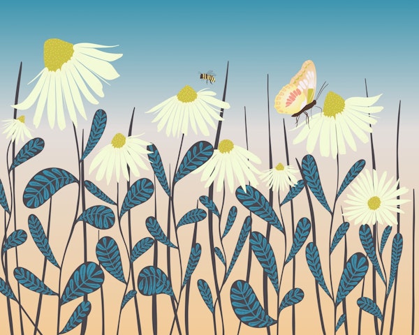 Fluttering Among Daisies