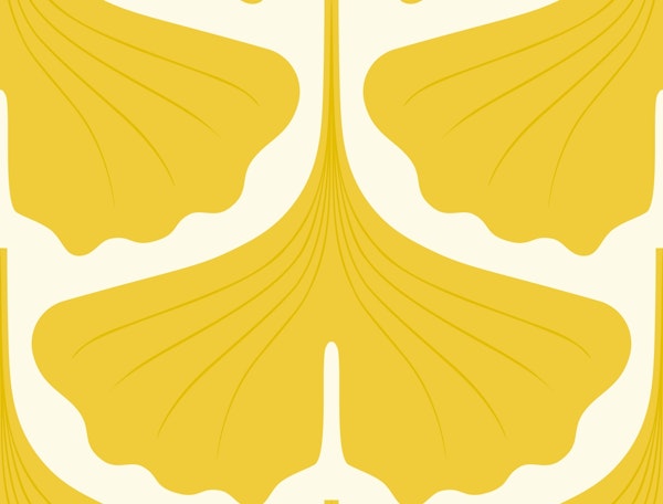 Ginkgo Leaf