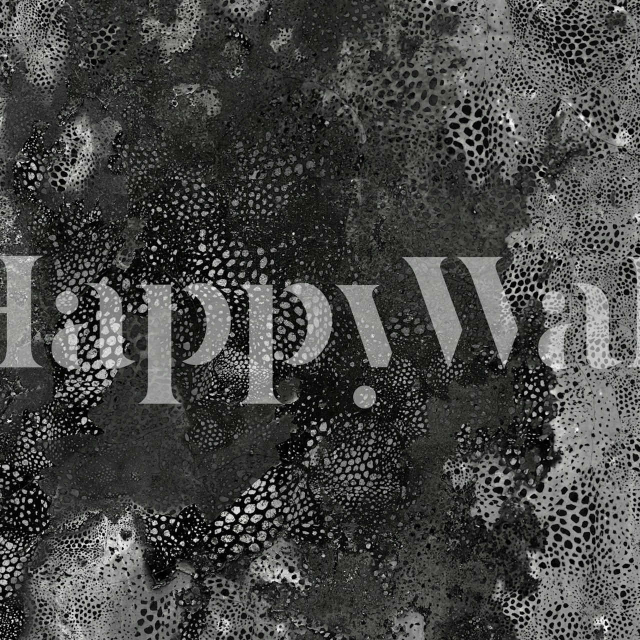 Papel pintado Granite Dreamscape en una habitación