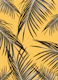 Black Palm Leaves Dream 6