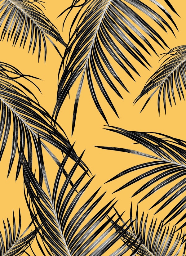 Black Palm Leaves Dream 6