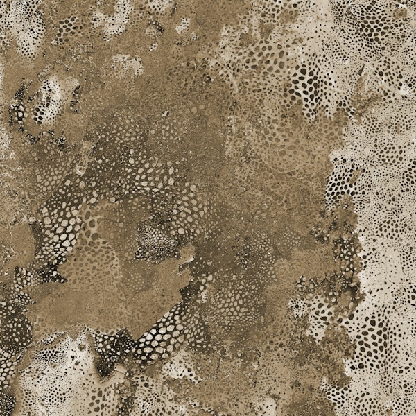 Natural Terra Aesthetic