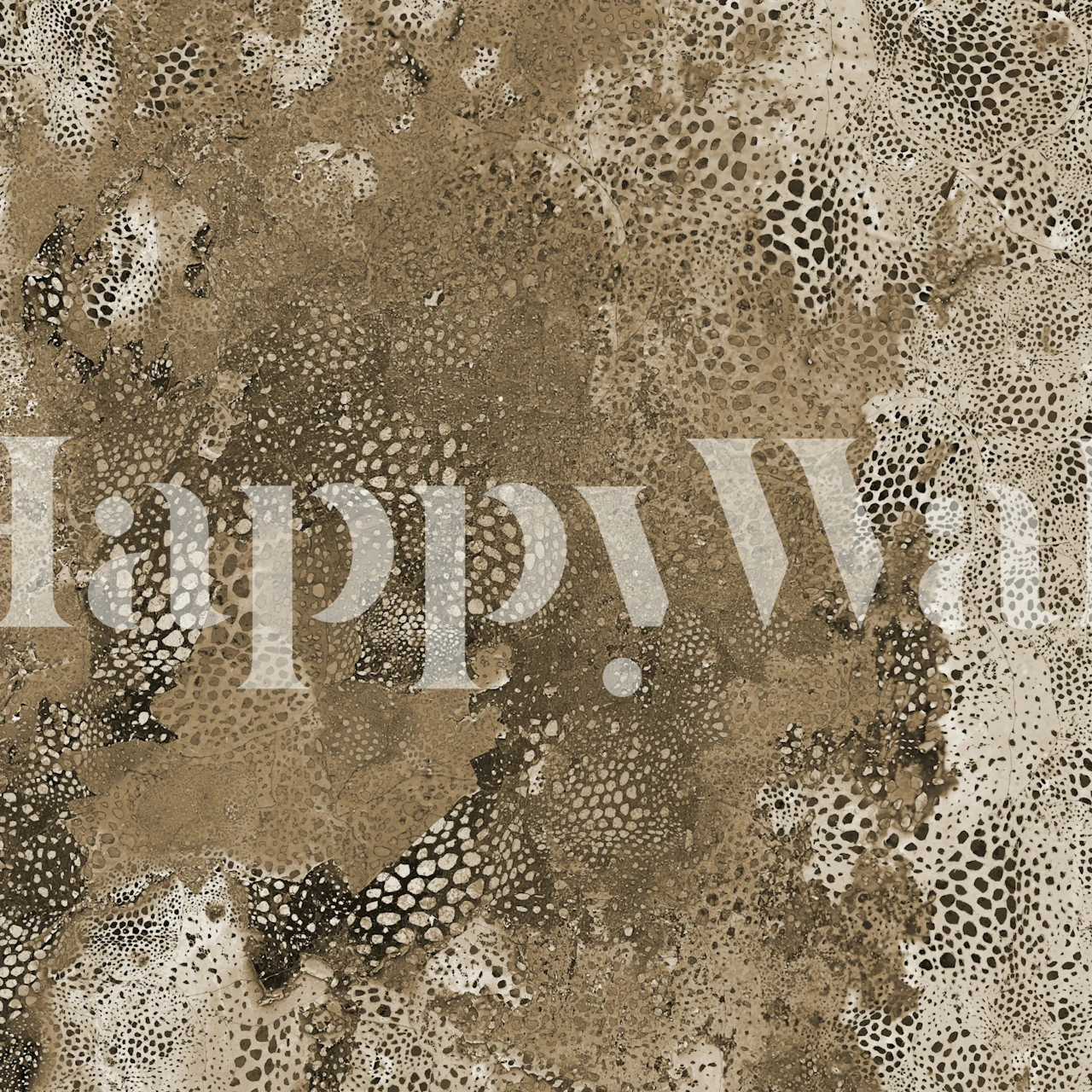 Natural Terra Aesthetic wallpaper in a room