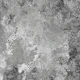 Monochrome Marvel