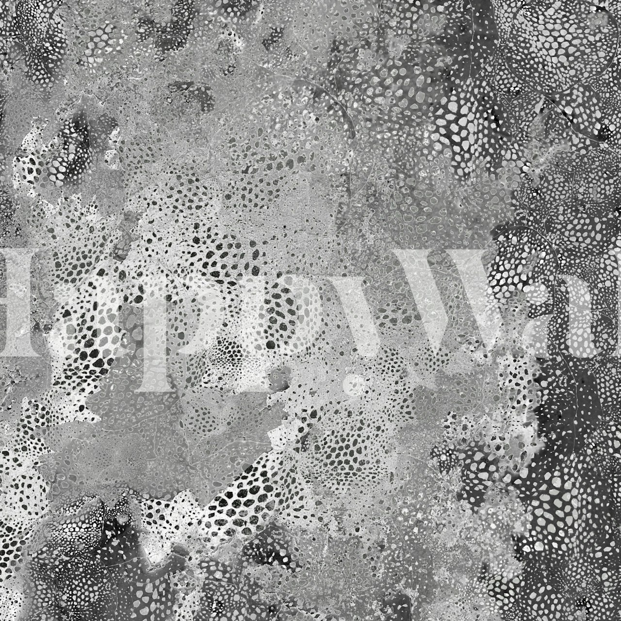Abstract black and white pattern wallpaper with textured circular elements