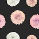 Dahlia Whisper Pattern