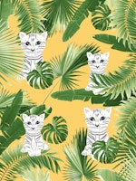 Baby Cat in the Jungle 3 papiers peint
